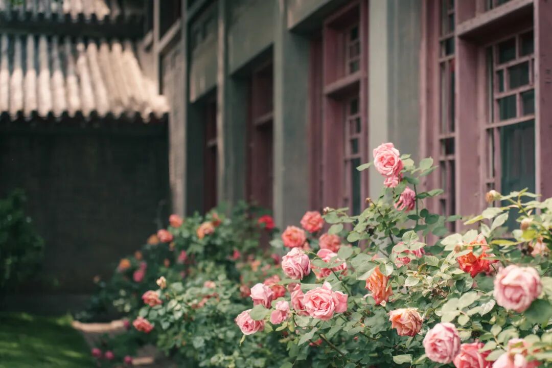 北大经院学者 | 郝煜等：宋代进士家世背景的时空分析